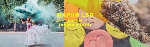 ECSTASY Вяземский