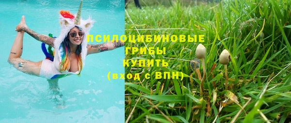 ECSTASY Вяземский