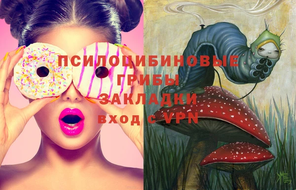 ECSTASY Вяземский