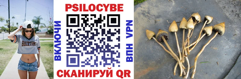 Купить закладки  Полярные Зори  Галлюциногенные грибы GOLDEN TEACHER 