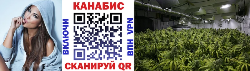 Купить где  Полярные Зори  Конопля Ganja 